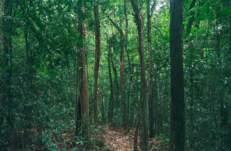 自分探しの旅が、心の健康への第一歩