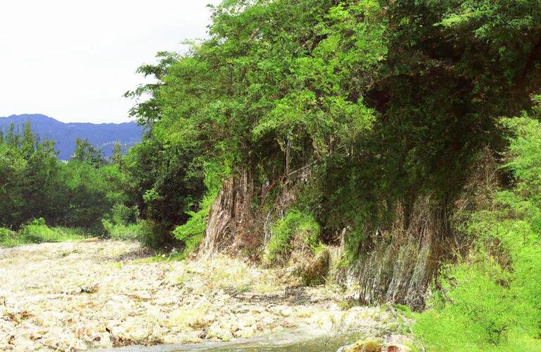 愛知で始める心の冒険、自分を大切にするカウンセリング