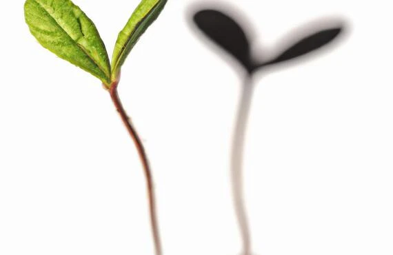 親子の絆を深める新しい方法<br>一緒に成長し、心豊かな未来へ！