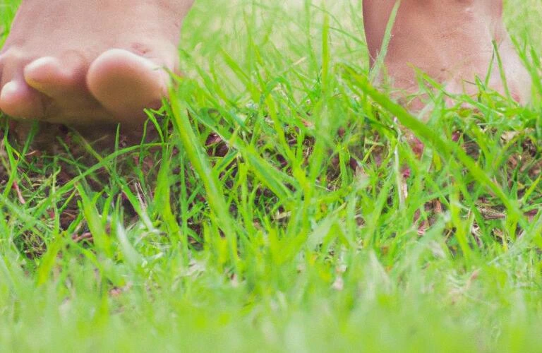 自責感から解放され、新たな一歩を踏み出そう